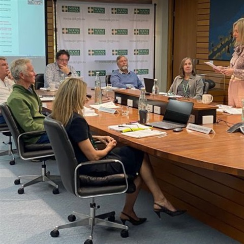 Picture of a Noosa Council meeting