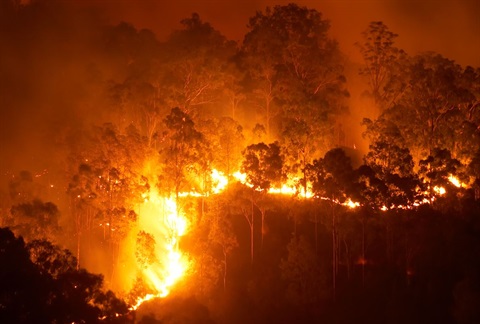 Bushfire