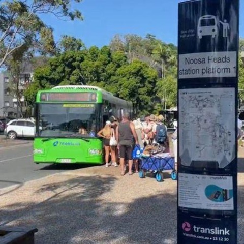 Buses