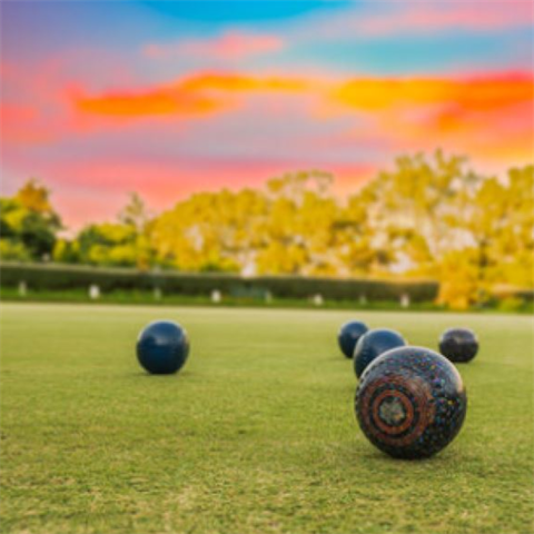 picture of lawn bowls balls