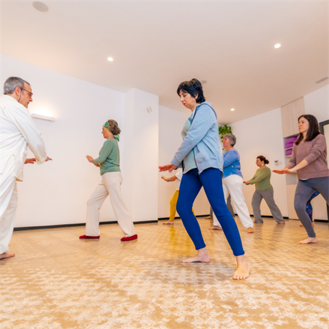 people practicing Qi Gong 