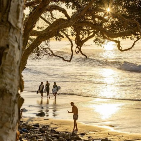 Surfers on the beach at Noosa