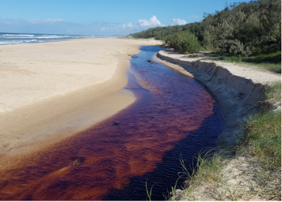 Burgess Creek mouth erosion