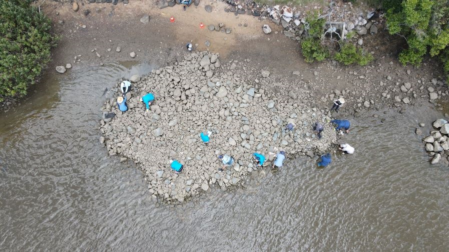 The Nature Conservancy, Noosa Council and the Noosa Integrated Catchment Association undertaking 'oyster seeding' on the Tewantin oyster reef.