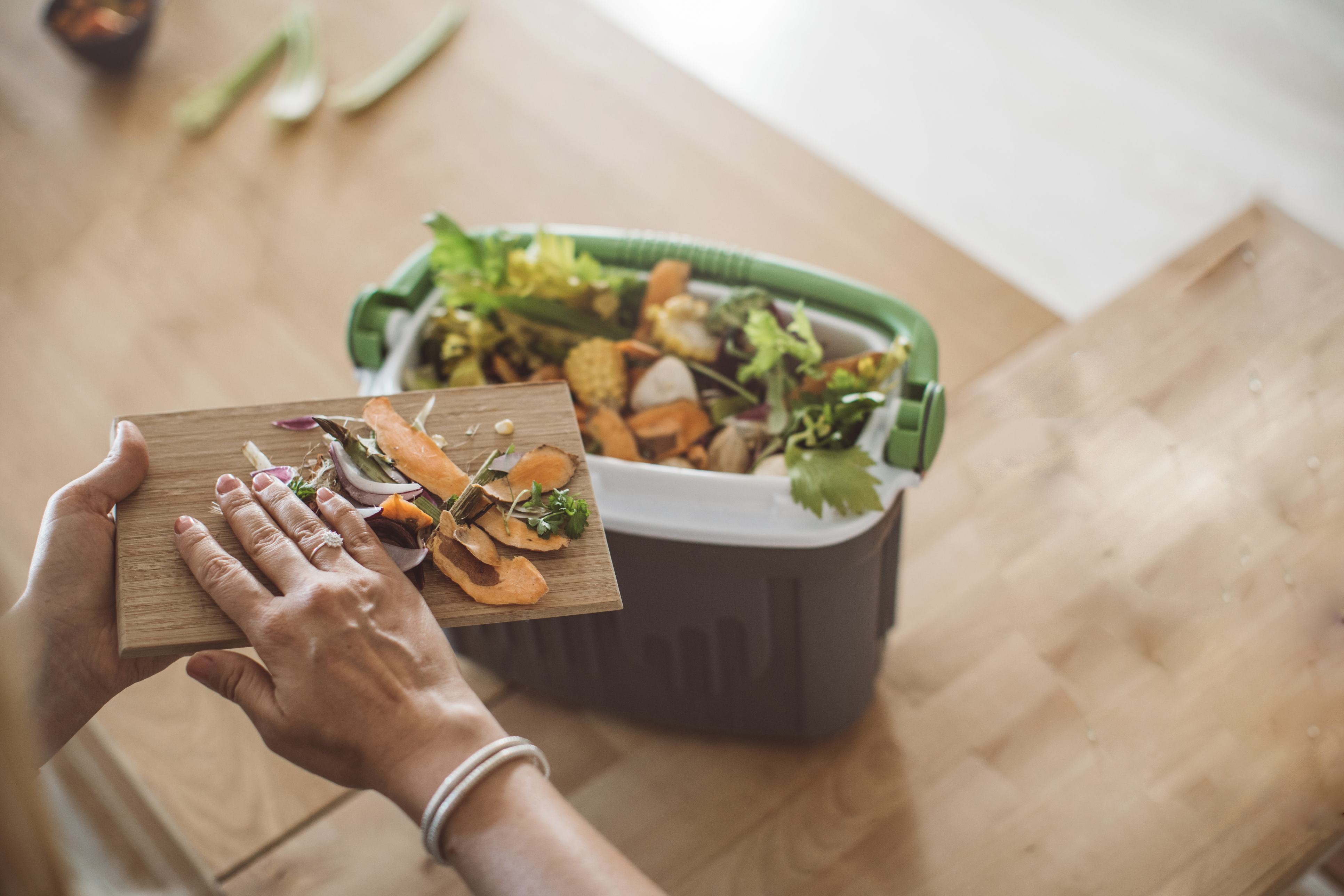 Food-scraps-trial.jpg