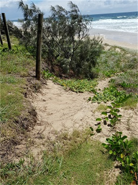 foreshore_neighbour_Private_beach_access_trampling_erosion.png