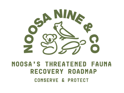 Noosa Nine & Co logo