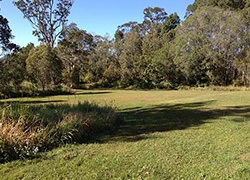Carruthers Natural Amenity Reserve