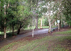 Cranks Creek Park, Burgess Drive