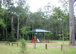 cudgerie common