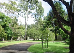 Culgoa Park, Culgoa Street