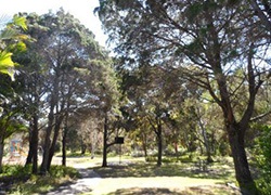 Hawthorn Grove Park, Hawthorn Grove