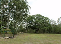 King Park, King Street, Cooran
