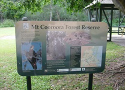 Mt Cooroora Forest Reserve, Mountain Street