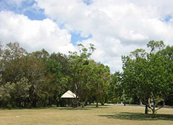 Nancy Cato Park, Dolphin Crescent and Noosa Parade
