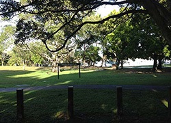 Noosa Woods, Claude Batten Drive