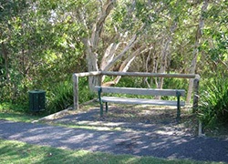 Osprey Park (Peregian Duck Ponds Reserve), Osprey Avenue