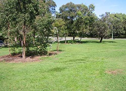 Pat Mullins Park, Hill Street, Ross Crescent