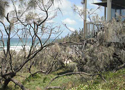Peregian Beach, Kingfisher Drive