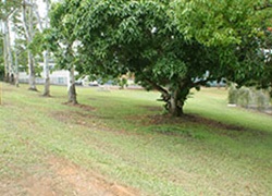 Police Station Park
