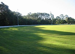 Read Park