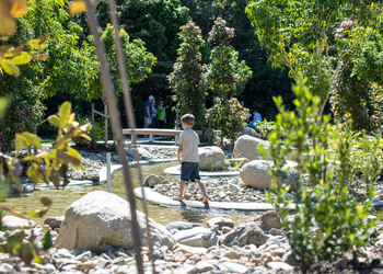 Sticks and stones hinterland playground