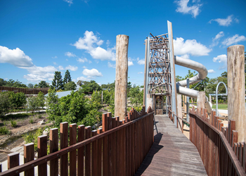 Climbing sticks and tower climb hinterland playground