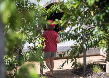 Sensory garden hinterland playground