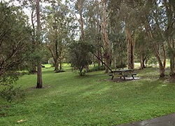 Yellowwood Park, McKinnon Drive