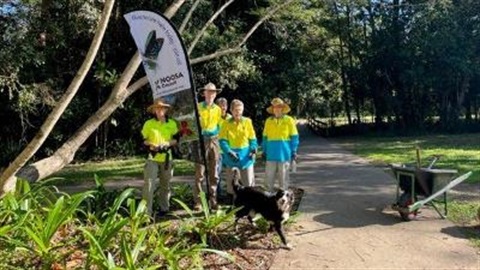 Cooroora Creek bushcare