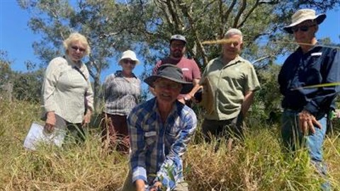 Kauri bushcare