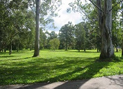 Cooroora Creek Park, Mill Street
