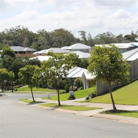 450x450 web images  (33).jpg